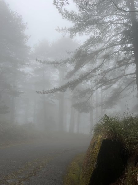 大雪山森林遊樂區2737485