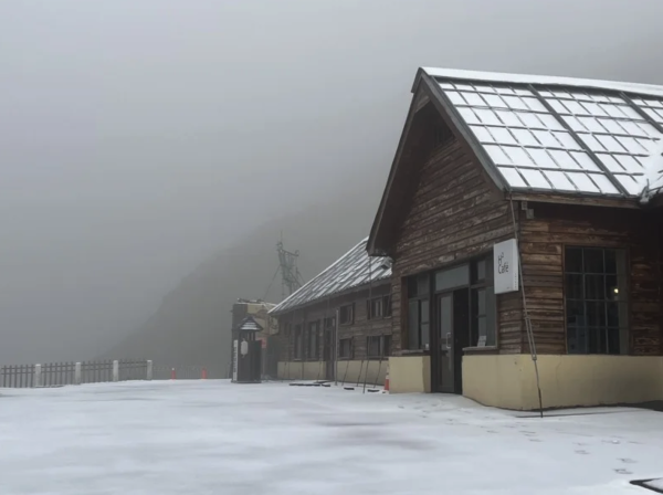【新聞】合歡山一早全白了…雪霰飄整夜成銀白世界 積雪1.5公分
