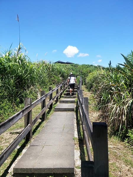 大石鼻山步道643676