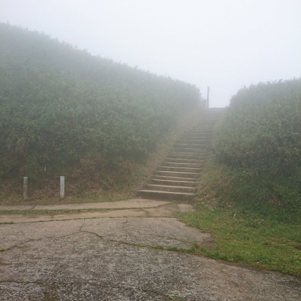 聖母登山步道561411