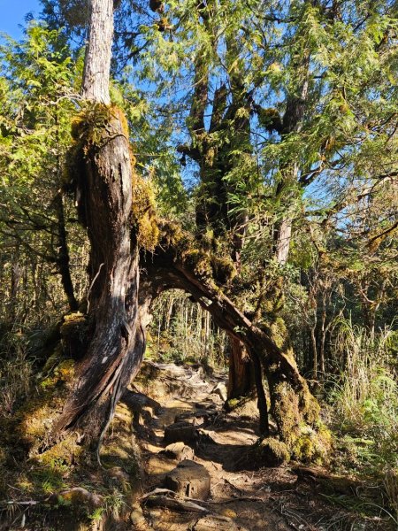 20250130三星山-三星池-翠峰湖-望洋山2702599