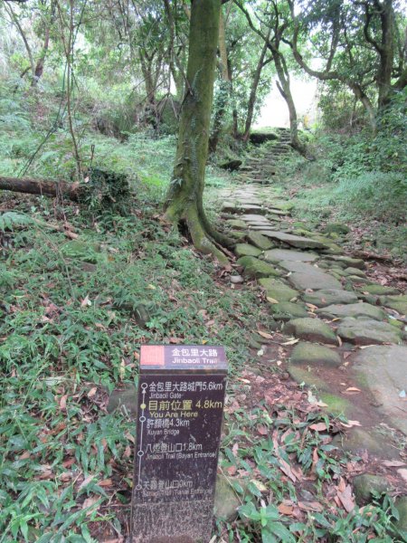 20201002-魚路古道北段1116777