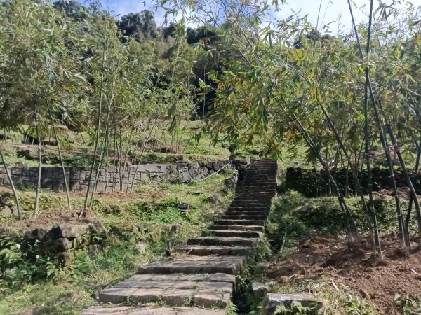 士林區礁坑橋+平溪步道+鵝尾山水田步道+大坪尾山+平菁步道O型2995880
