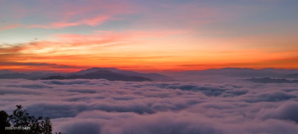 #石碇後山 #霞光 #日出 #雲海 #火燒雲 #魔目裳蛾 7/1&33080439
