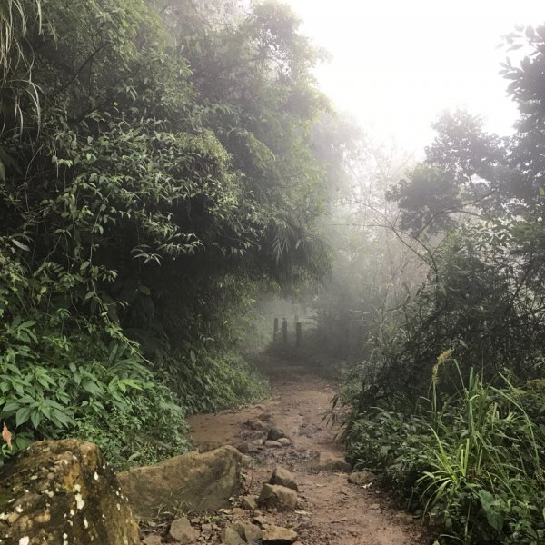 大凍山、雞籠山環行1076515