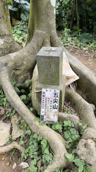 20251219微笑山線：【天上山系】烘爐地土地公段2982919