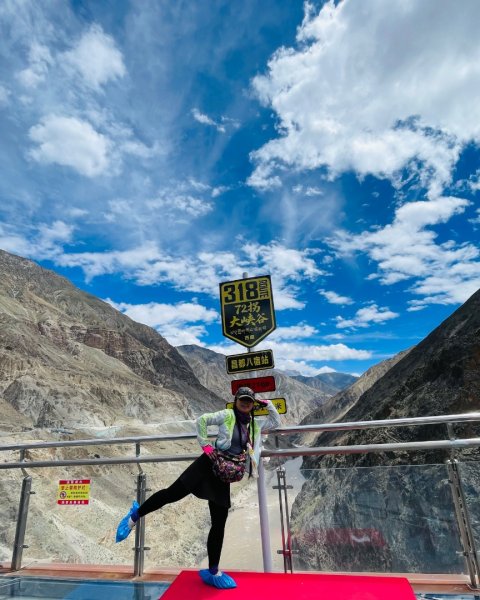 川藏318熱門的卡點-尼瑪-當惹擁措-大地之樹-雅丹地貌聖象天門2905223