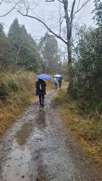 2025-0222 翠峰湖環山步道2718635