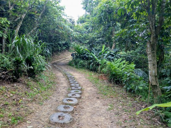 南勢角山(小百岳#16)下外挖子山步道987935