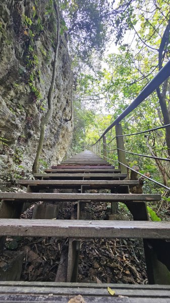 【柴山、壽山、萬壽山，到底哪個才是你！🤣🤣】走一座可以映照出高雄不同時期歷史軌跡的山。3025850