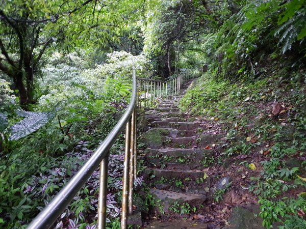 銀河洞步道上貓空1572826