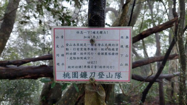 新竹內灣麥樹仁山五連峰2763835