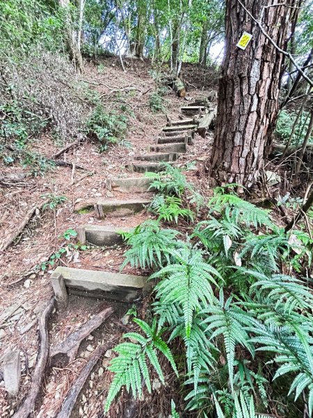 屋我尾山-完成最後一張拼圖2607005