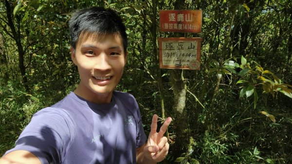 【中級山】與山毛櫸的邂逅，逐鹿山2742668