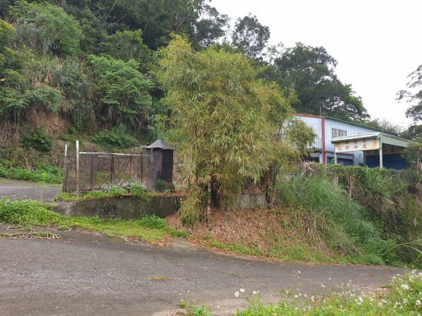 人生之中有點可怕的登山行程......玉女山、金童山及汶水山1552802