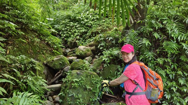 (姨婆趴趴走)第十四集:新竹關西油井窩山、彩和山、高甫山縱走2206436