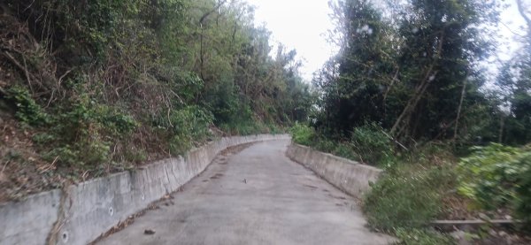 2025 4/5 加奈美山2754441