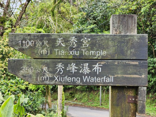 小百岳No.12⛰汐止大尖山2751659