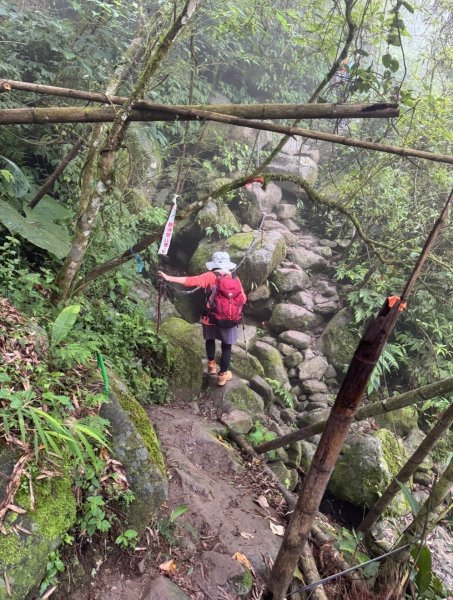 豹牙登山口上鳳凰山/小百岳#533069711