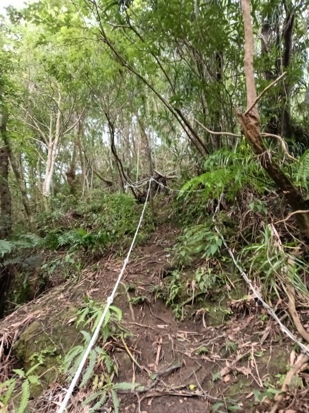 平溪區平溪子山遇雷雨O型2850146