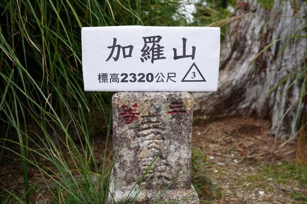 宜蘭 大同 加羅山