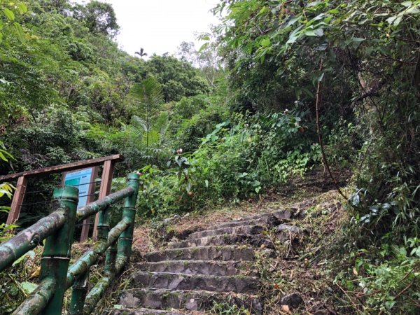 嘉義連峰獨立山大巃頂紅楠坑觀音石阿拔泉633138