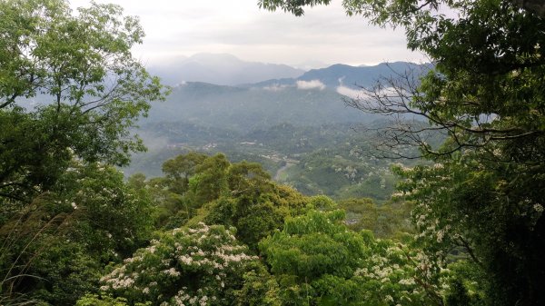 大艽芎古道-溪洲山-頭寮山577974