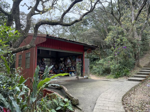 [微笑山線_第四段] 2026_0321 天上山系_石門內尖山東峰3021318