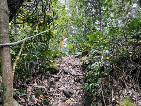 暗影山步道2753089