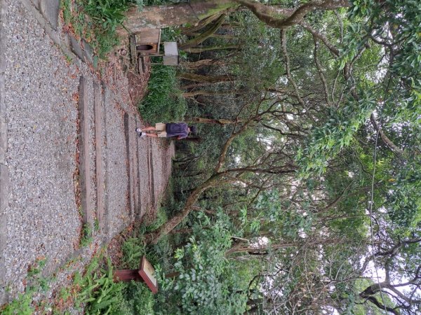 小百岳集起來大崙頭尾山親山步道3127370