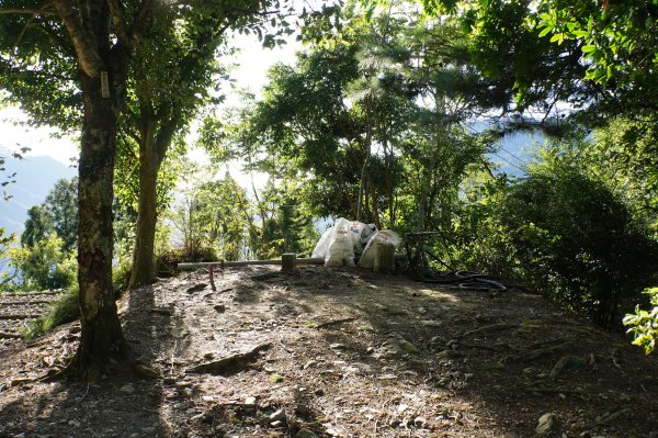 桃園 復興 把家灣山、低陸山2865343