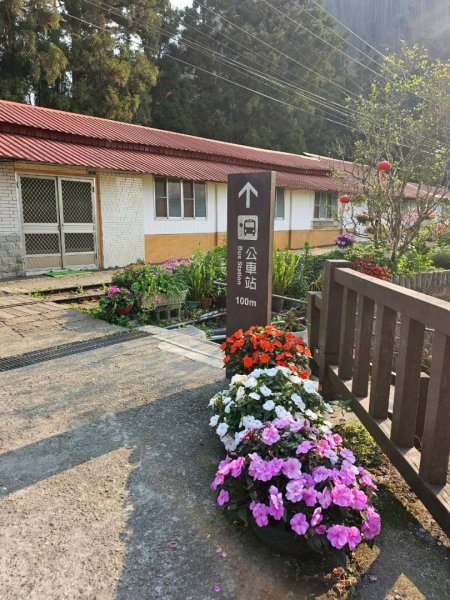 20260330十字路車站O繞多林車站 得恩亞納3027268