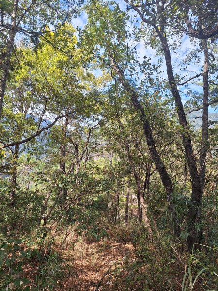 上谷關山202511202940871