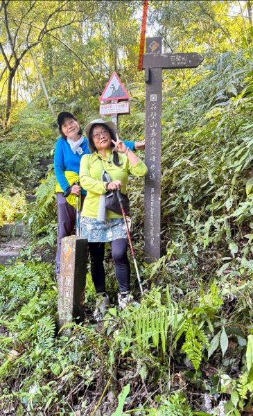 九穹神木 左訪嘉南雲峰 右到好望角看風景上石壁山(小百岳#55)2944839