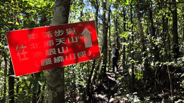 東北季風起遊走雲瀑和山毛櫸間的啦卡山與北插天山登山行2951102