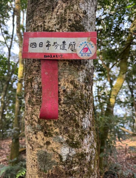 六龜警備道茂林段：網子山-網子山東北峰-鳴海下山-鳴海山(小百岳#71)2981512