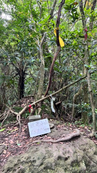 臺北大縱走第四段：風櫃口到大湖公園捷運站2155434