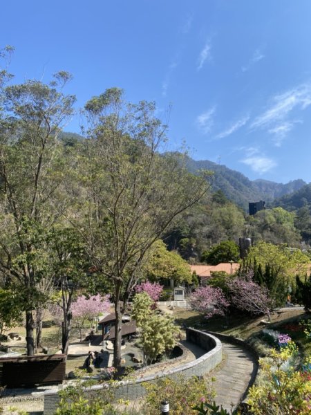 1131006二刷波津加山