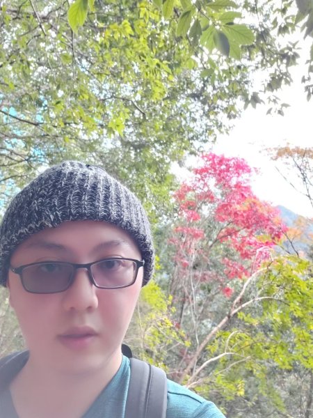 中級山-司馬庫斯2888978