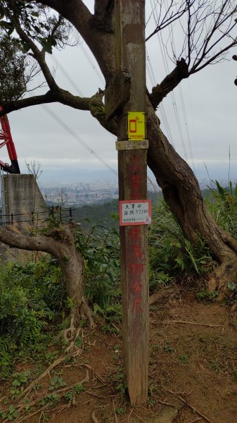 20230124_年初二_新店文筆山_土城清水大尖山_新加坡嶺_青龍嶺2011161