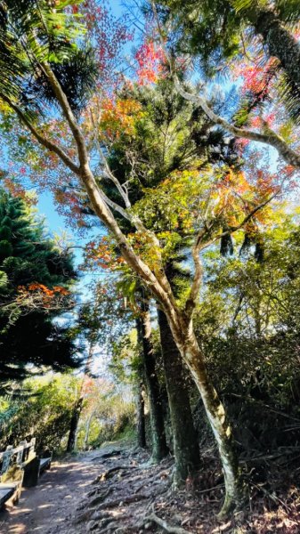 1101119馬那邦山.細道邦山1519550