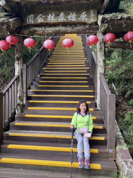 宜蘭太平山 - 檜木原始林步道、鐵杉林自然步道（2-2 太平詩路至翠峰景觀道路）【走路趣尋寶】2245234