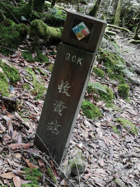 稍來小雪山步道2342401