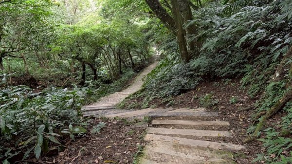 天上山步道2980441