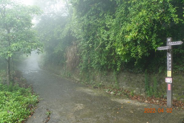 臺南 南化 王爺崙山1664011