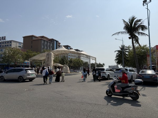 [茂名馬之行-07] 2026_0117 中國第一灘2995547