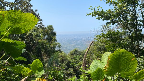龍麟山登山步道2730753