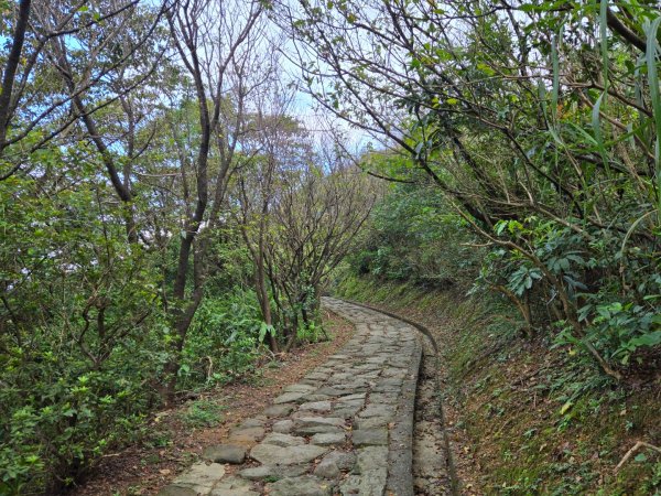 基隆山（小百岳）2620617