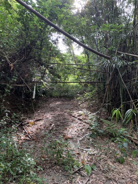 20251024台南東西崙山2925620