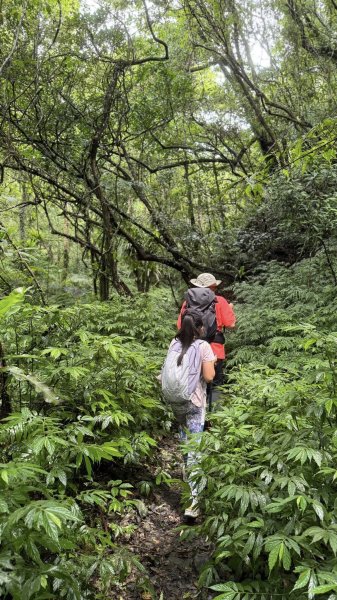 20250708 四堵古道2837749